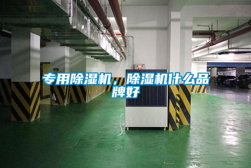 專用除濕機，除濕機什么品牌好