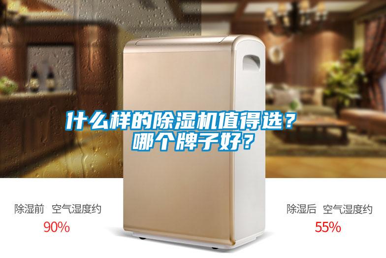 什么樣的除濕機值得選？ 哪個牌子好？