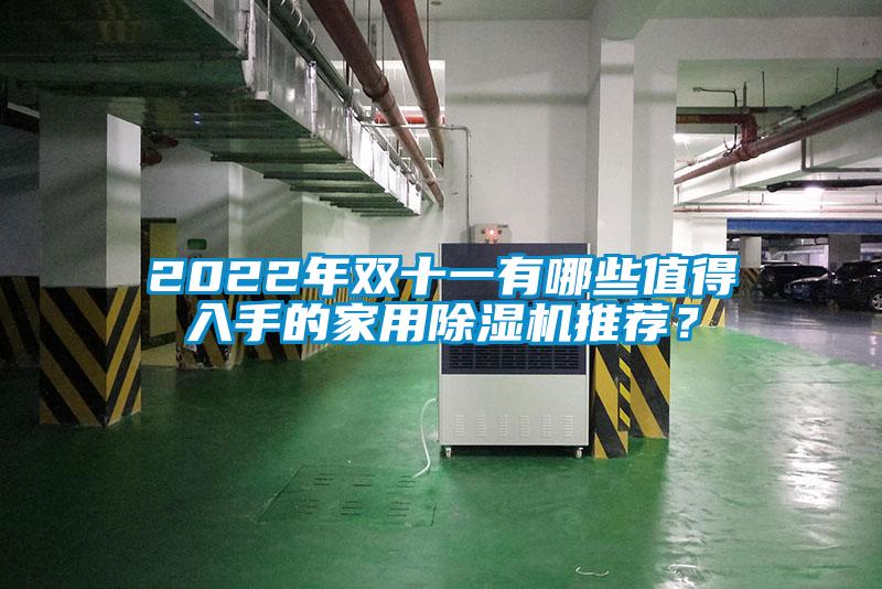 2022年雙十一有哪些值得入手的家用除濕機推薦？