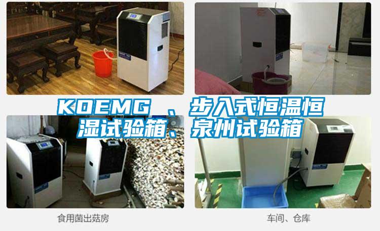 KOEMG 、步入式恒溫恒濕試驗箱、泉州試驗箱