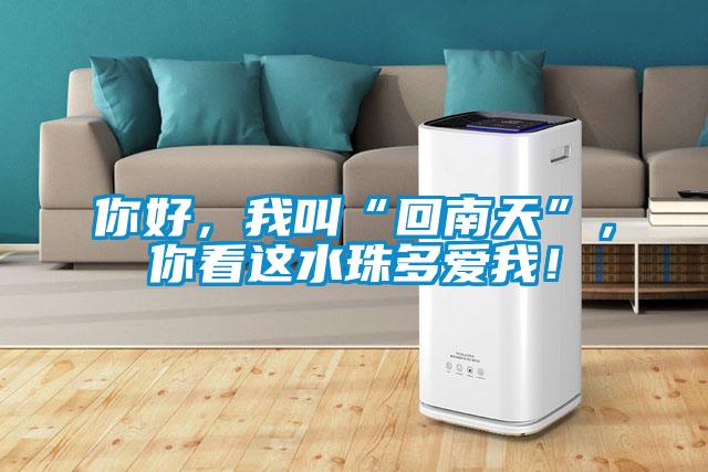 你好，我叫“回南天”，你看這水珠多愛我！