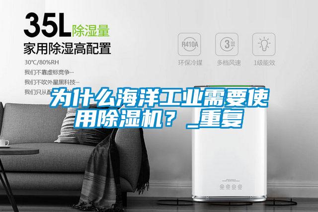 為什么海洋工業需要使用除濕機？_重復