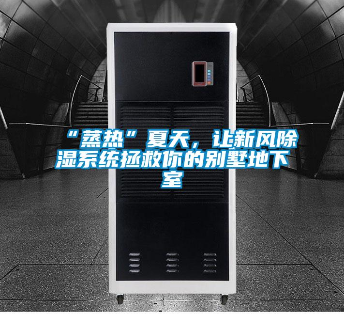“蒸熱”夏天，讓新風除濕系統拯救你的別墅地下室