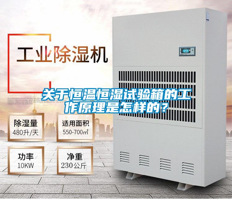 關于恒溫恒濕試驗箱的工作原理是怎樣的？