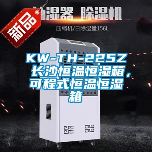 KW-TH-225Z 長沙恒溫恒濕箱，可程式恒溫恒濕箱