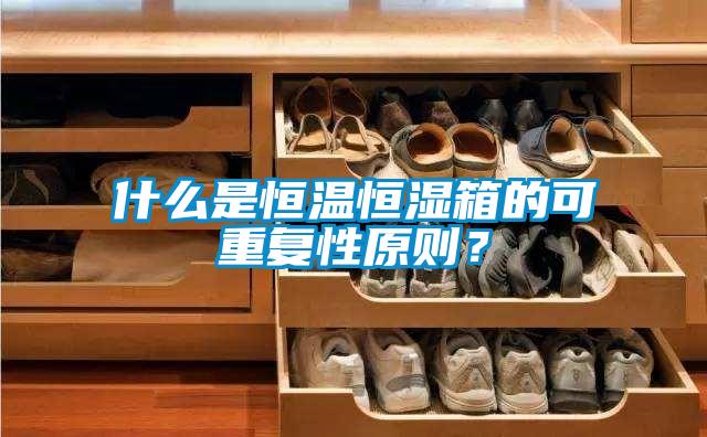 什么是恒溫恒濕箱的可重復性原則？