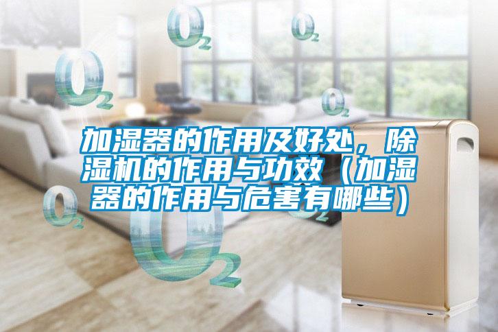加濕器的作用及好處，除濕機的作用與功效（加濕器的作用與危害有哪些）