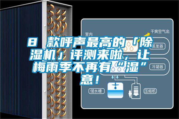 8 款呼聲最高的「除濕機」評測來啦，讓梅雨季不再有“濕”意！