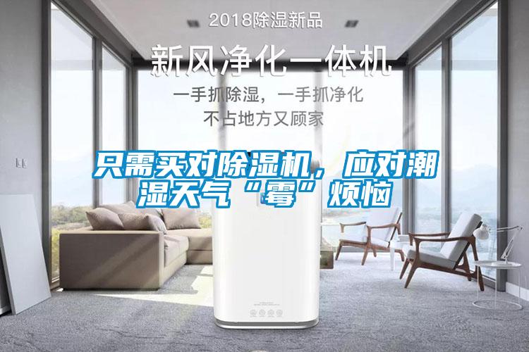 只需買對除濕機，應對潮濕天氣“霉”煩惱