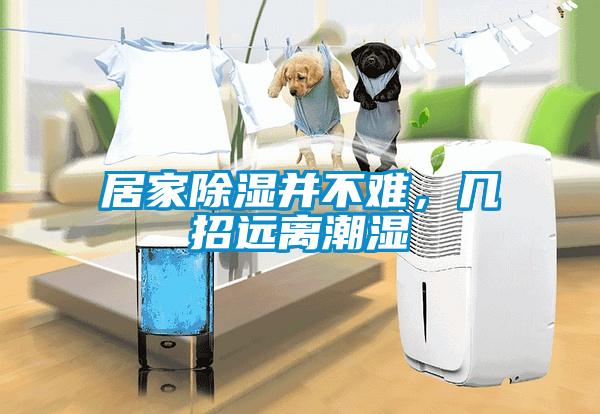 居家除濕并不難，幾招遠離潮濕