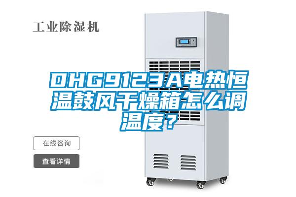 DHG9123A電熱恒溫鼓風干燥箱怎么調溫度？