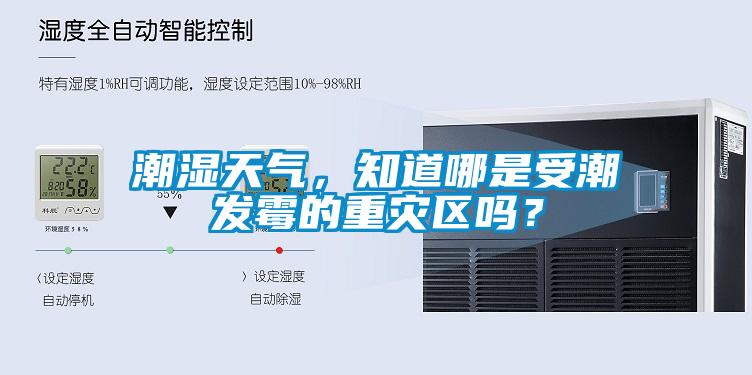潮濕天氣，知道哪是受潮發霉的重災區嗎？