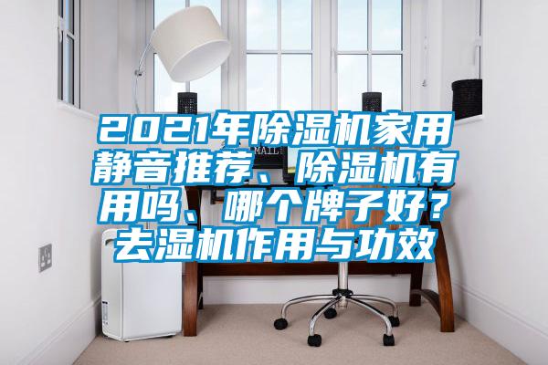 2021年除濕機家用靜音推薦、除濕機有用嗎、哪個牌子好？去濕機作用與功效