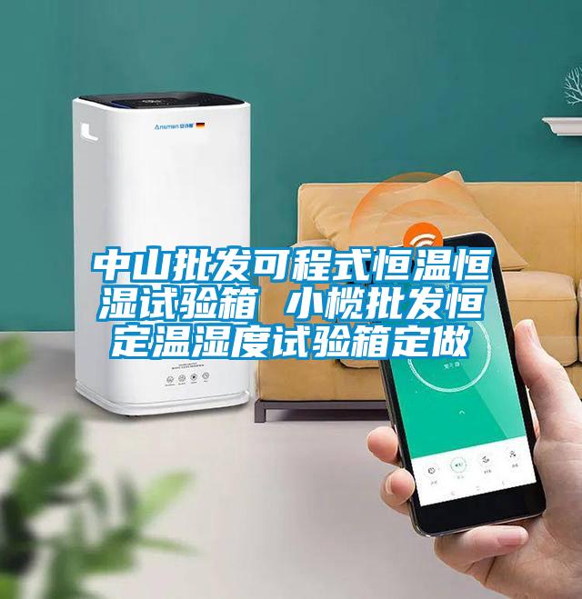 中山批發可程式恒溫恒濕試驗箱 小欖批發恒定溫濕度試驗箱定做