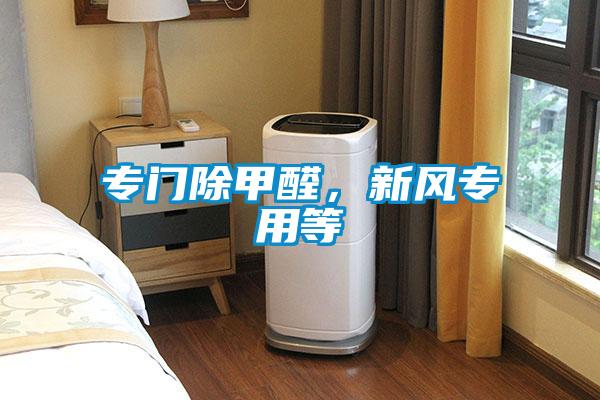 專門除甲醛，新風專用等