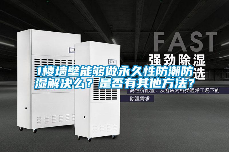 1樓墻壁能夠做永久性防潮防濕解決么？是否有其他方法？