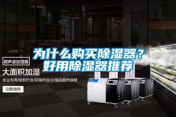 為什么購買除濕器？好用除濕器推薦