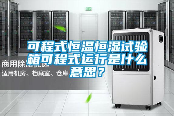 可程式恒溫恒濕試驗箱可程式運行是什么意思？