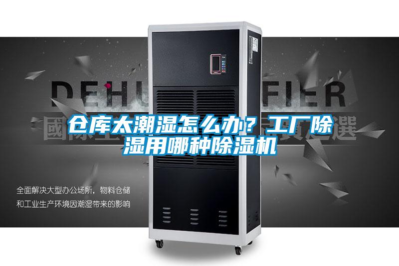 倉庫太潮濕怎么辦？工廠除濕用哪種除濕機