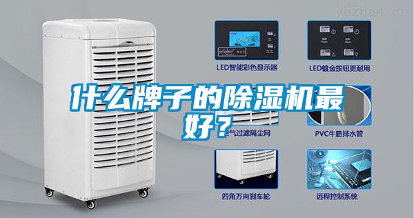 什么牌子的除濕機最好？
