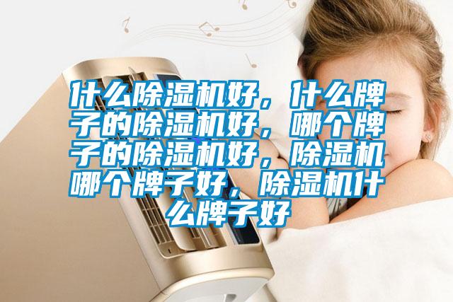 什么除濕機好，什么牌子的除濕機好，哪個牌子的除濕機好，除濕機哪個牌子好，除濕機什么牌子好