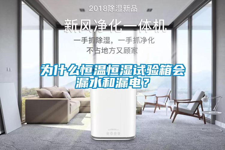 為什么恒溫恒濕試驗箱會漏水和漏電？
