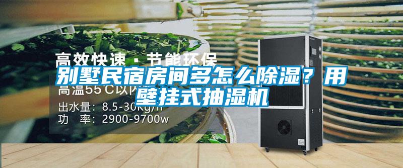 別墅民宿房間多怎么除濕？用壁掛式抽濕機
