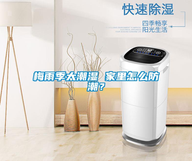 梅雨季太潮濕 家里怎么防潮？