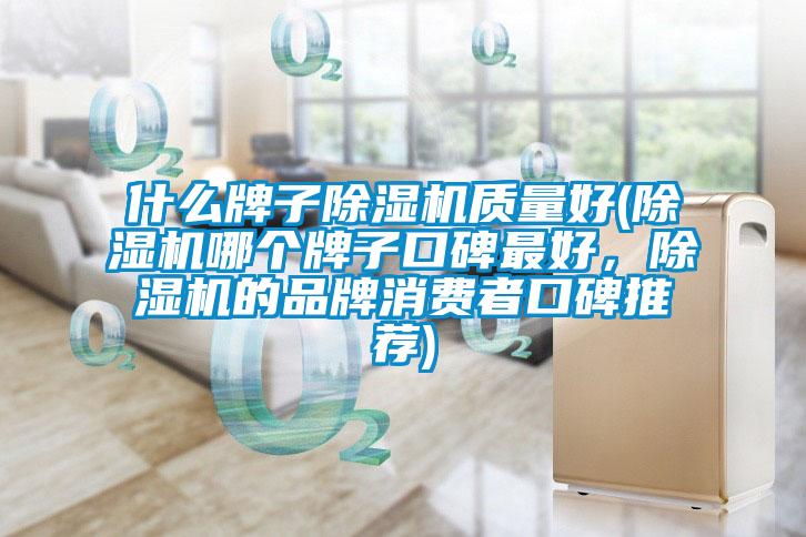 什么牌子除濕機質量好(除濕機哪個牌子口碑最好，除濕機的品牌消費者口碑推薦)