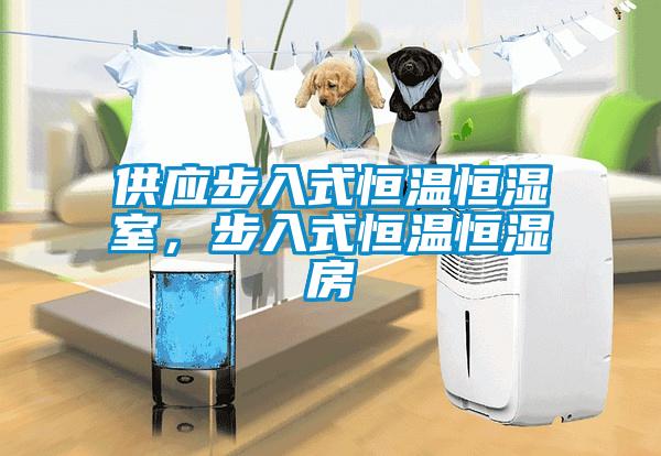 供應步入式恒溫恒濕室，步入式恒溫恒濕房