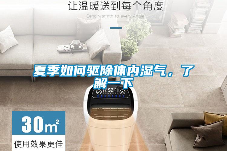 夏季如何驅除體內濕氣，了解一下