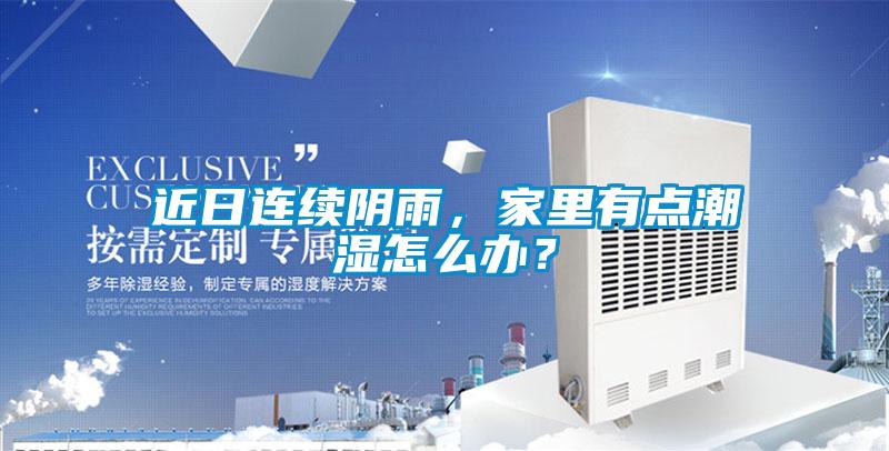 近日連續陰雨，家里有點潮濕怎么辦？
