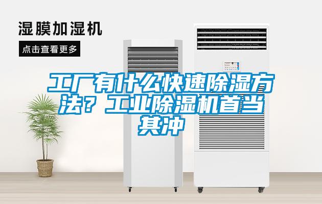 工廠有什么快速除濕方法？工業除濕機首當其沖