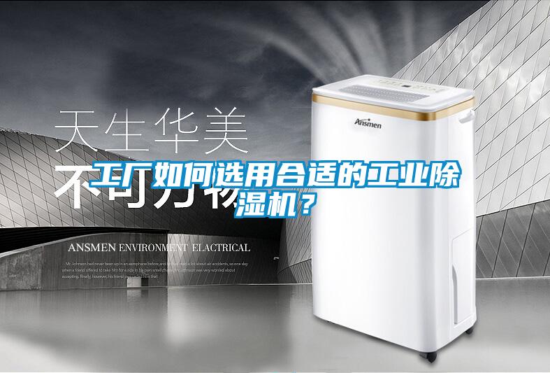 工廠如何選用合適的工業除濕機？