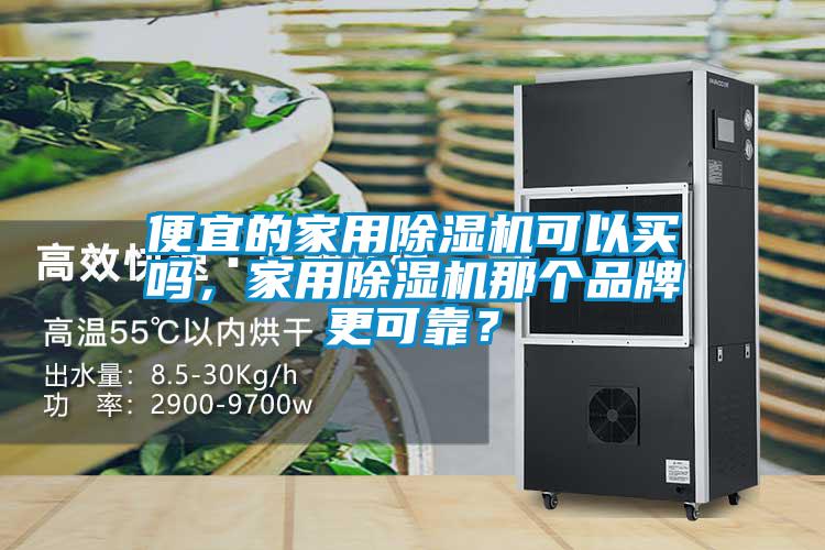 便宜的家用除濕機可以買嗎，家用除濕機那個品牌更可靠？