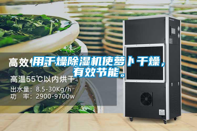 用干燥除濕機使蘿卜干燥，有效節能。
