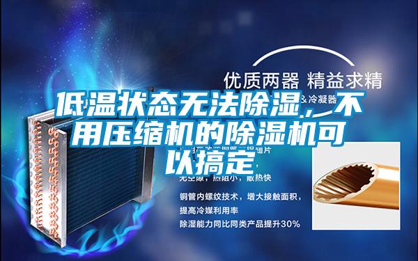 低溫狀態無法除濕，不用壓縮機的除濕機可以搞定