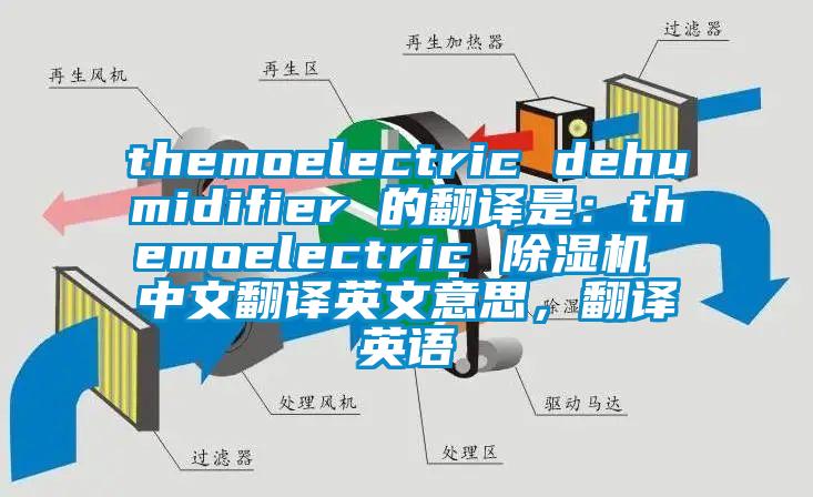 themoelectric dehumidifier 的翻譯是：themoelectric 除濕機 中文翻譯英文意思，翻譯英語