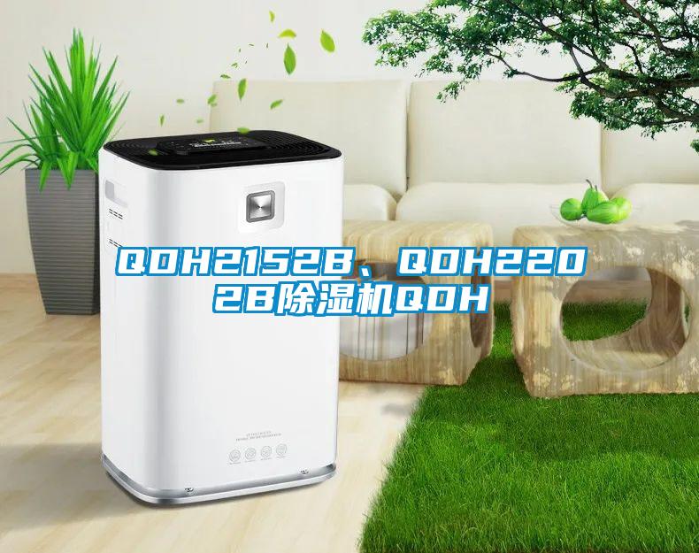 QDH2152B、QDH2202B除濕機QDH