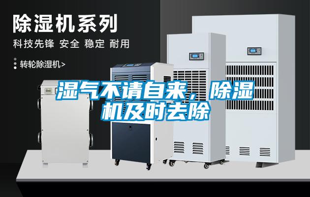 濕氣不請自來，除濕機及時去除