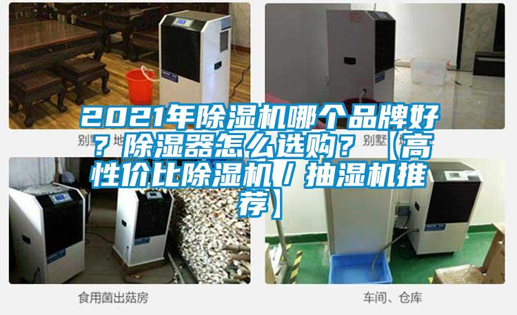 2021年除濕機哪個品牌好？除濕器怎么選購？【高性價比除濕機／抽濕機推薦】