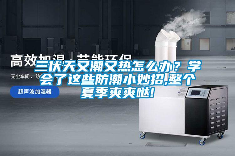 三伏天又潮又熱怎么辦？學會了這些防潮小妙招,整個夏季爽爽噠!
