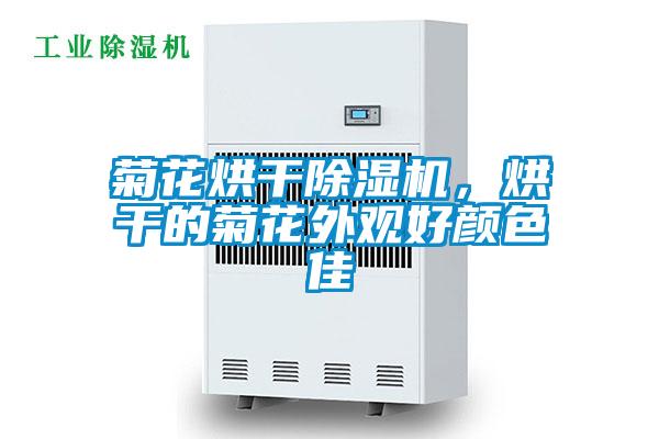菊花烘干除濕機，烘干的菊花外觀好顏色佳