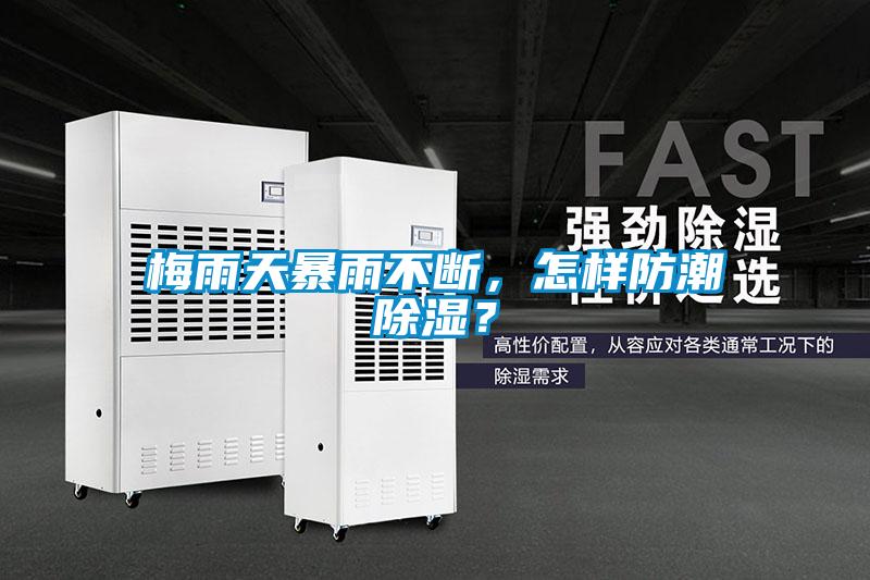 梅雨天暴雨不斷，怎樣防潮除濕？