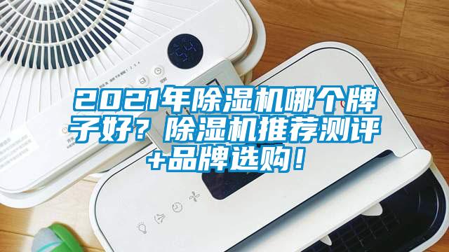 2021年除濕機哪個牌子好？除濕機推薦測評+品牌選購！