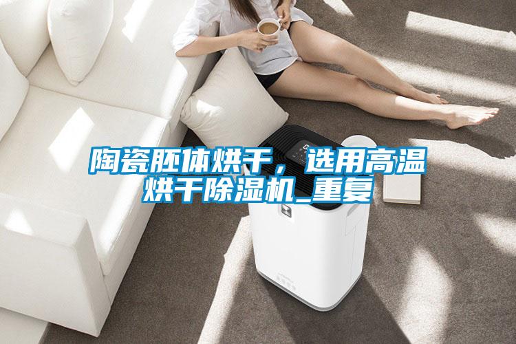 陶瓷胚體烘干，選用高溫烘干除濕機_重復
