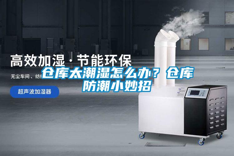 倉庫太潮濕怎么辦？倉庫防潮小妙招