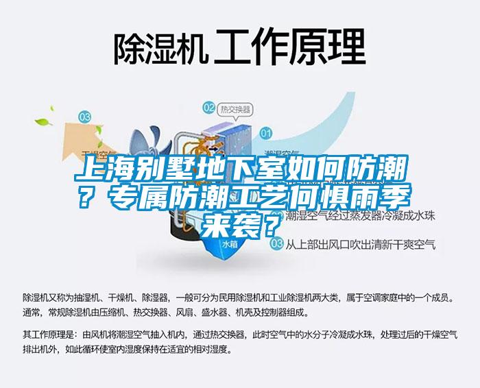 上海別墅地下室如何防潮？專屬防潮工藝何懼雨季來襲？