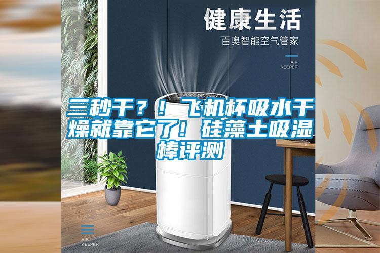 三秒干？! 飛機杯吸水干燥就靠它了! 硅藻土吸濕棒評測