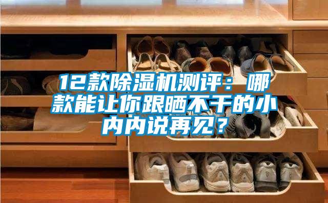 12款除濕機測評：哪款能讓你跟曬不干的小內內說再見？